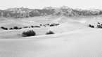 Quiet Light, Sand Dunes and Mountains, 2006