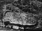 Boulder and Trees, Grafton State Park, Maine 2009