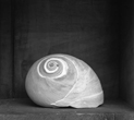 Moon Shell, 2008