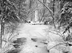 Winter Stream, Joe English Reserve, NH, 2002