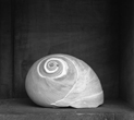 Moon Shell, 2009