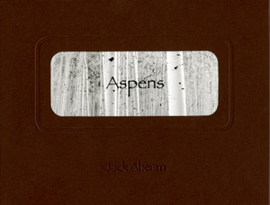 Aspen Folio, 2013