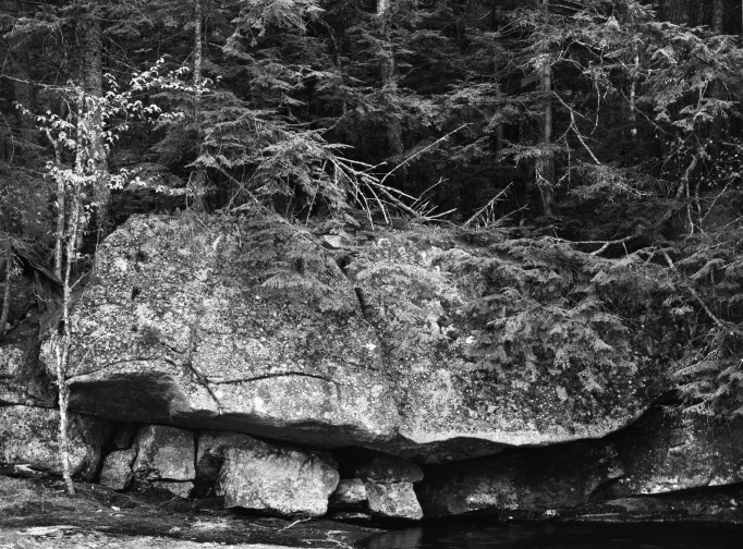 Boulder and Trees, Grafton State Park, Maine, 2008 